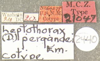 Media type: image;   Entomology 21047 Aspect: labels